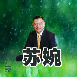 苏婉